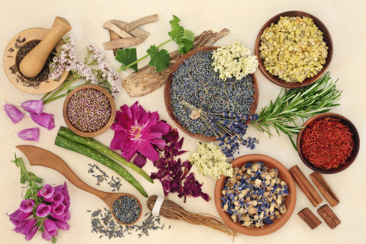 Saude & Bem Estar 04