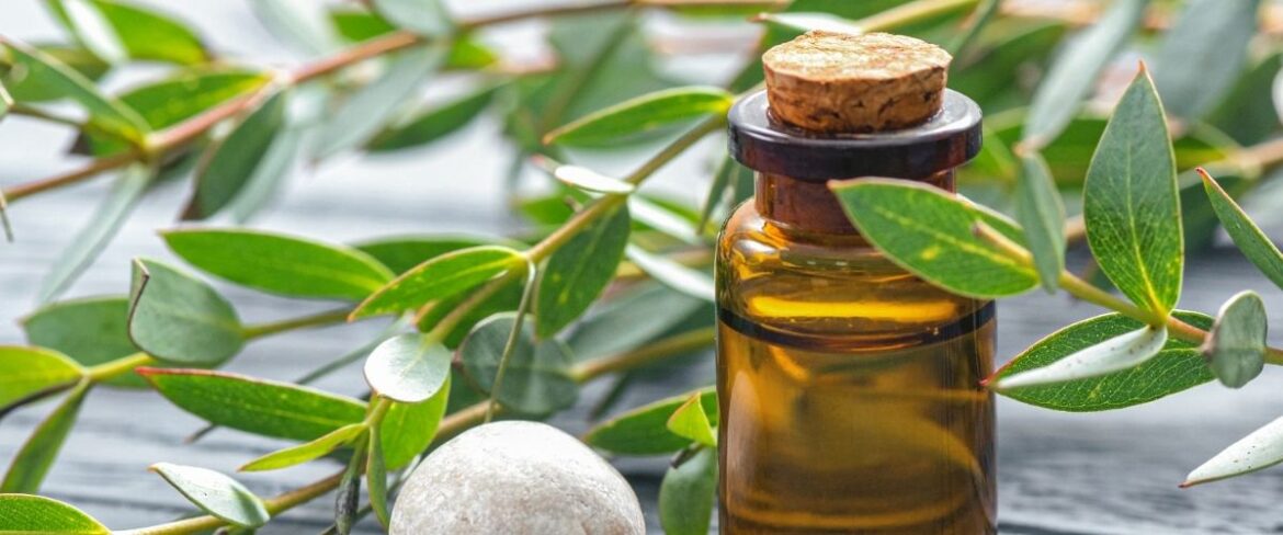 Tratamento Natural para Bronquite