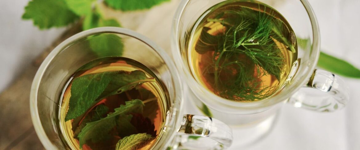 Tratamento Natural para Fígado