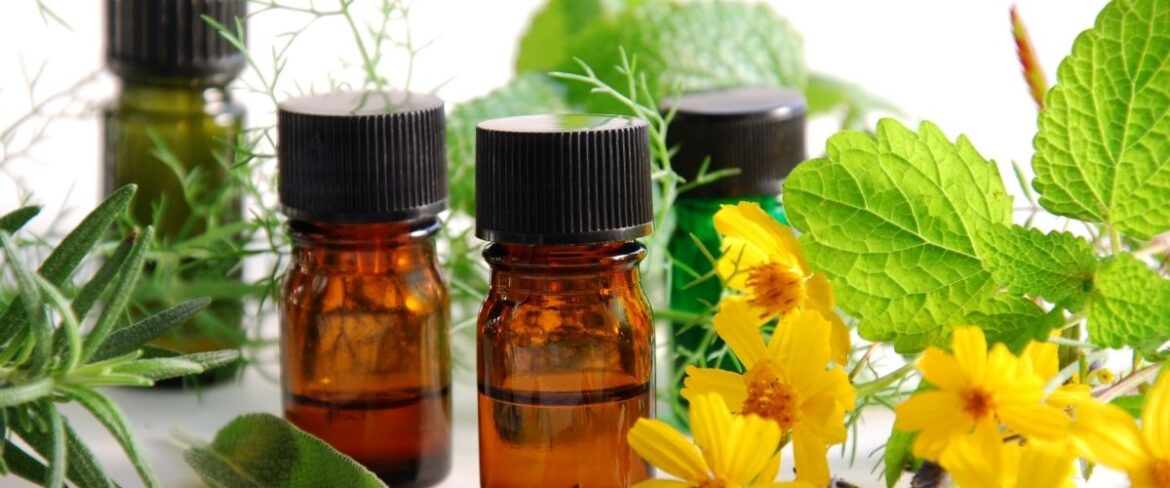 Plantas Medicinais para Ansiedade